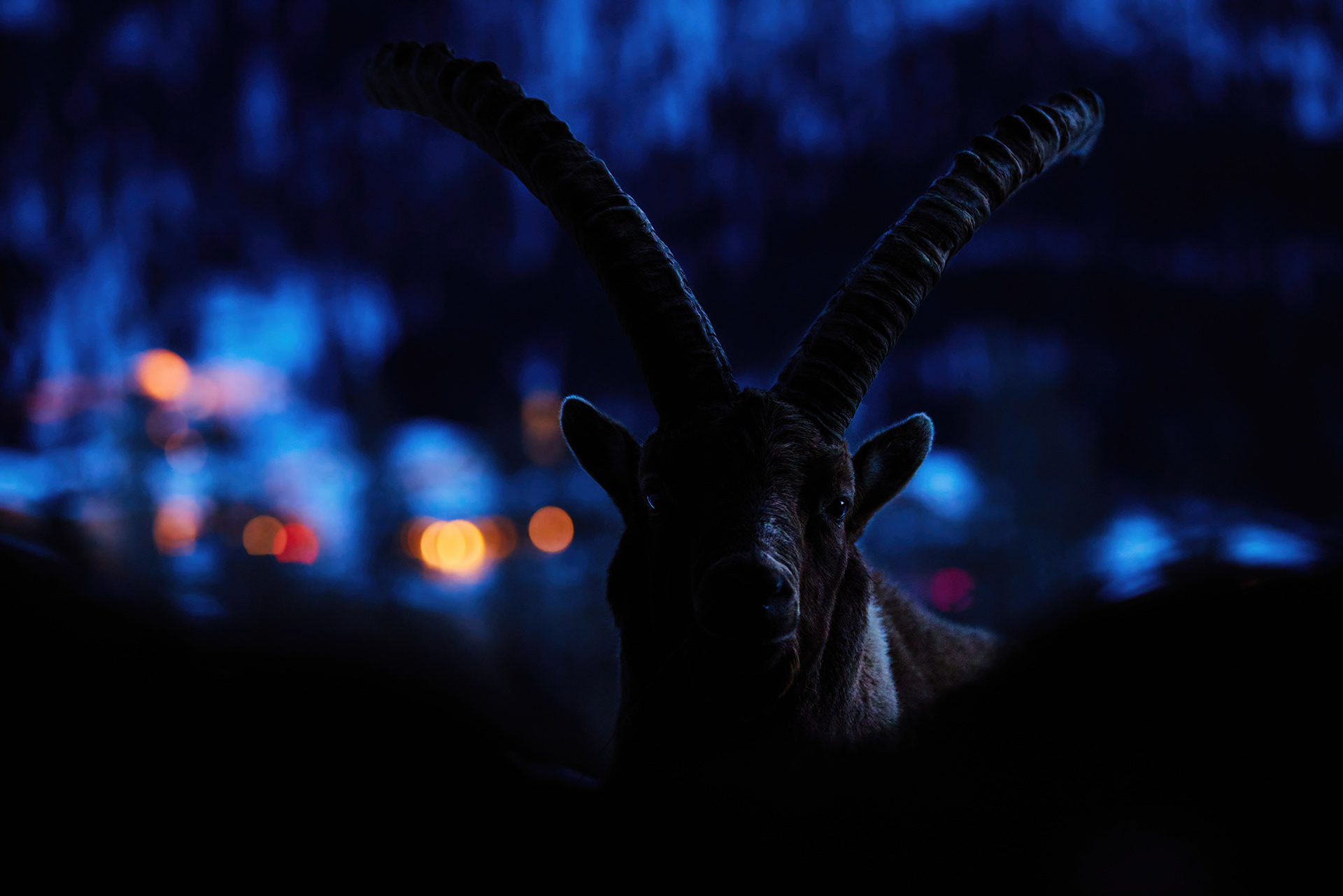 自然就是美,自然就是美歌曲