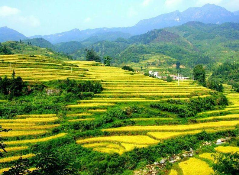 韶关秋天哪里有美景,韶关秋天美景