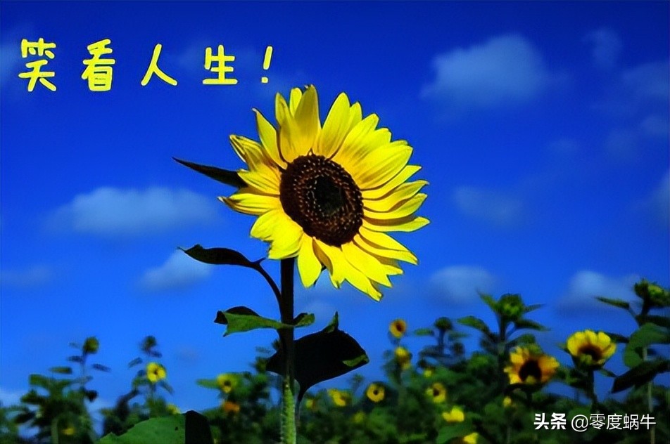 30岁找不到工作很焦虑怎么办,30岁对未来恐慌焦虑怎么办