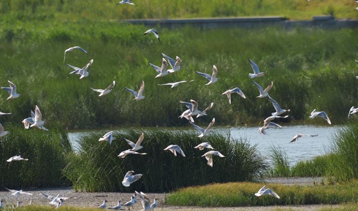 远大抱负且霸气的古诗原创,吟诗作对的经典诗句