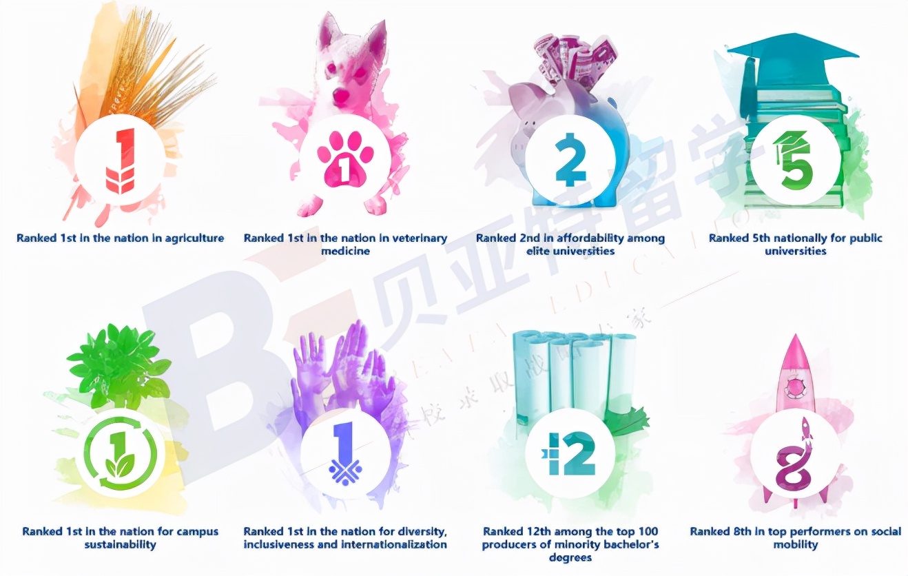 加州大学排名50-100,加州大学排名世界第几