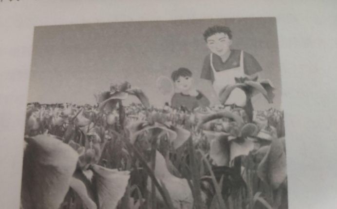 记忆力很差怎么快速提升记忆,记忆力训练方法视频教程