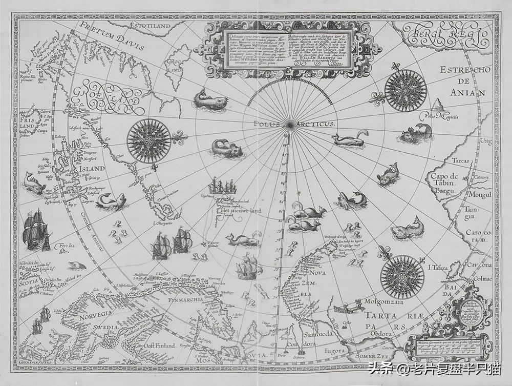 跟哥斯拉中的泰坦巨兽做一个对比,哥斯拉里面的18只泰坦巨兽排行榜