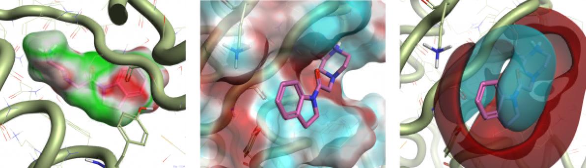 生物学是什么,生物学是什么学科