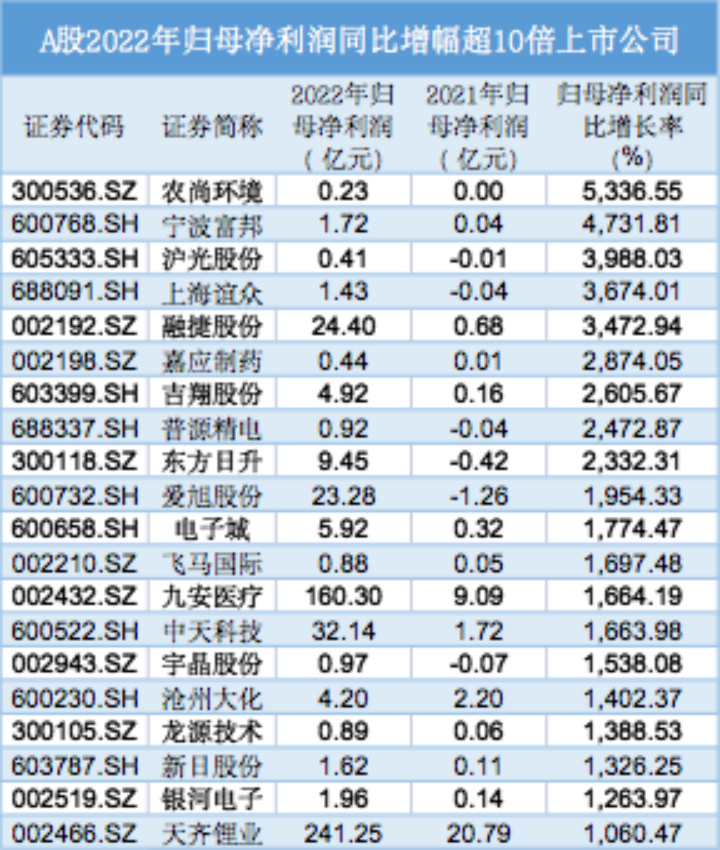 上半年什么公司最赚钱,2022年最赚钱的小项目