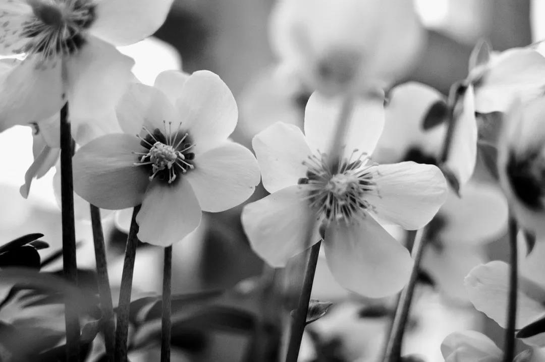 松山医话最新消息,松山医话系列之血液