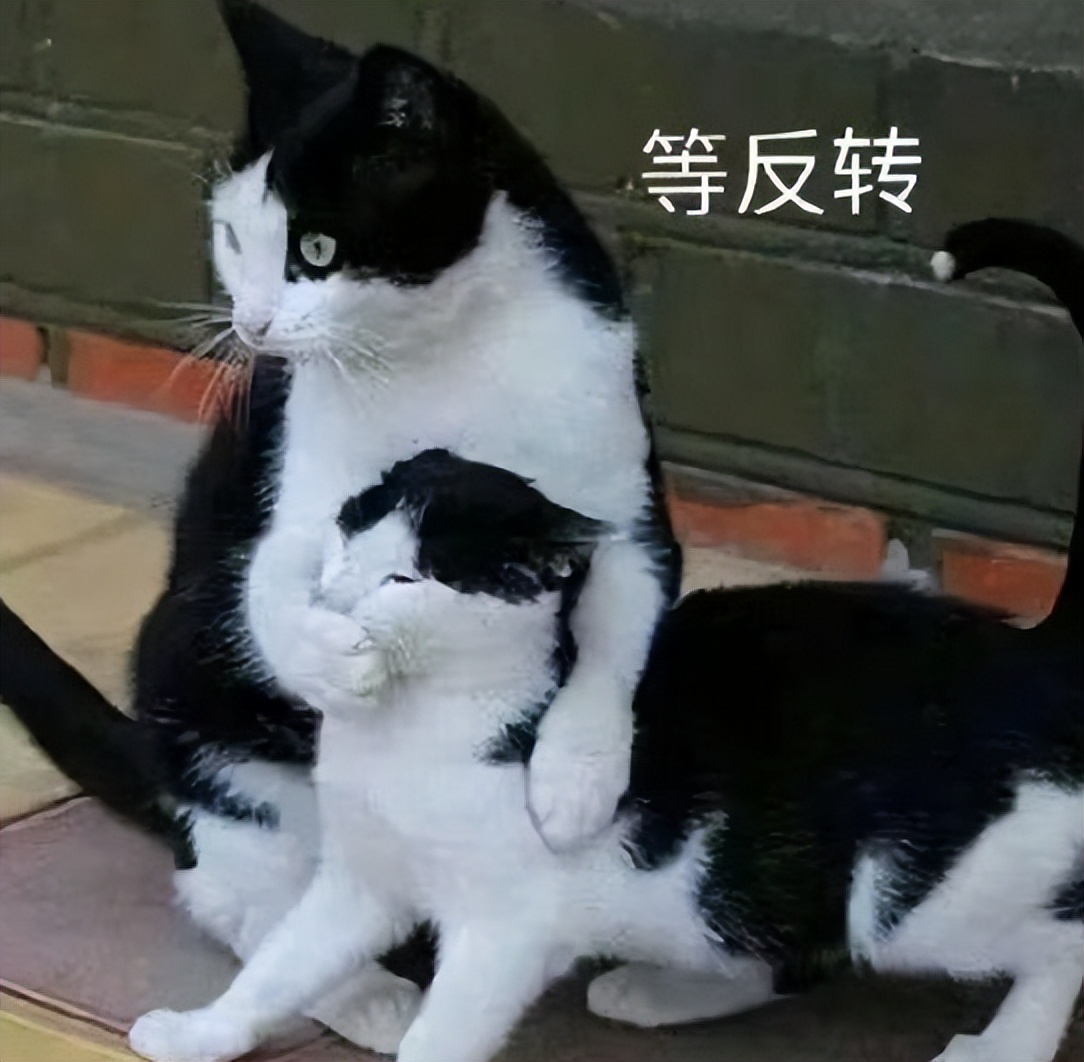 美团跑腿勒索？反转了，博主带节奏