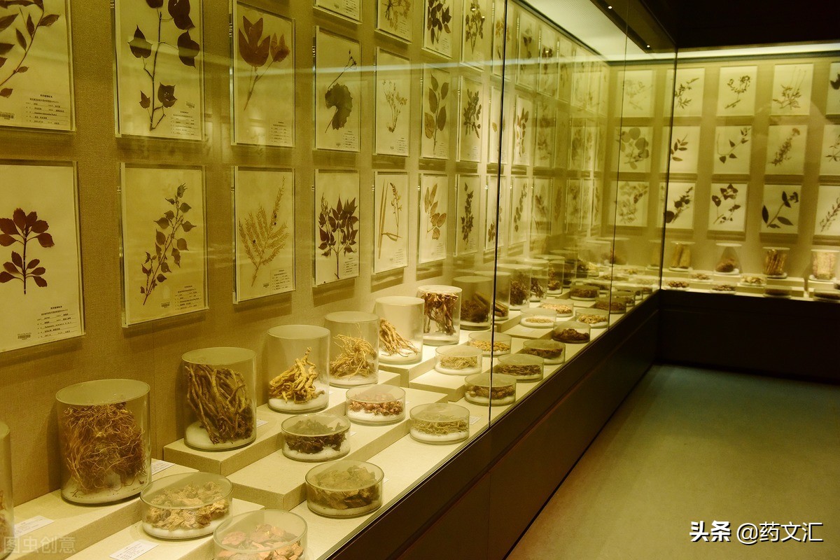 脾虚大便干燥还怕凉吃什么中成药,脾虚湿气重大便不通吃什么中成药