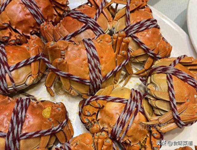 中国哪里大闸蟹最好,全国最好的大闸蟹排行榜第一名