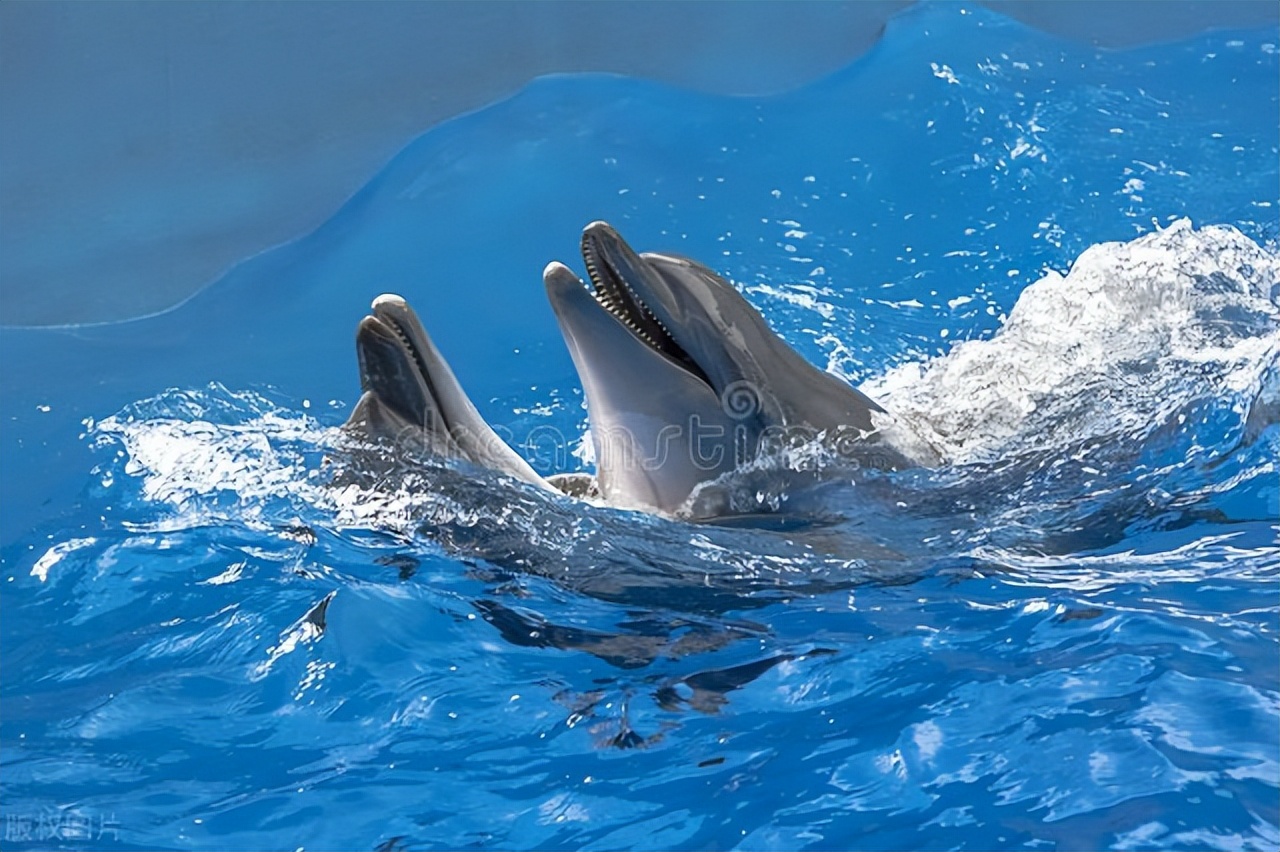 当一个人不愿意搭理你文案,当一个人不搭理你