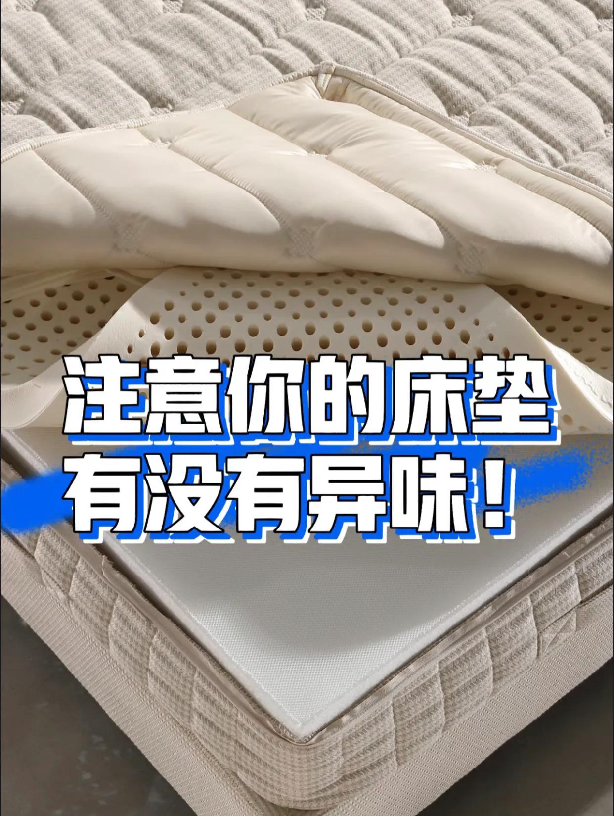 试睡100天床垫,贵的床垫和便宜的床垫差在哪里