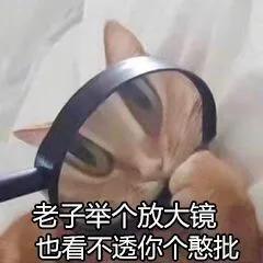 给你花花表情包,给你花花表情包啥意思