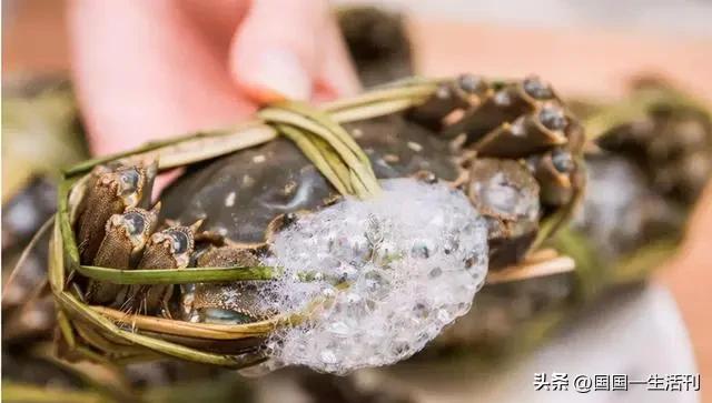 隔夜螃蟹和死螃蟹还能吃吗,死螃蟹不能吃为什么冷冻的可以吃
