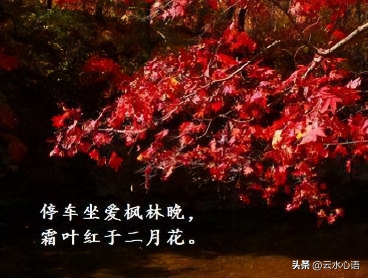 分析杜牧的七绝创作特色,杜牧的七律有哪些