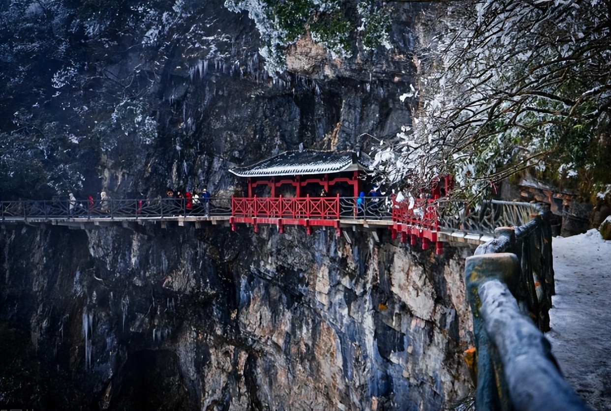 “约死群”到底有多可怕?不想死也得死!有人出主意有人起哄