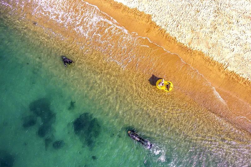 棣栧眾浼朵粌娲嬫澂鍏ㄥ浗鎽勫奖澶у睍,鍠滆繋浜屽崄澶ф憚褰卞睍寰侀泦