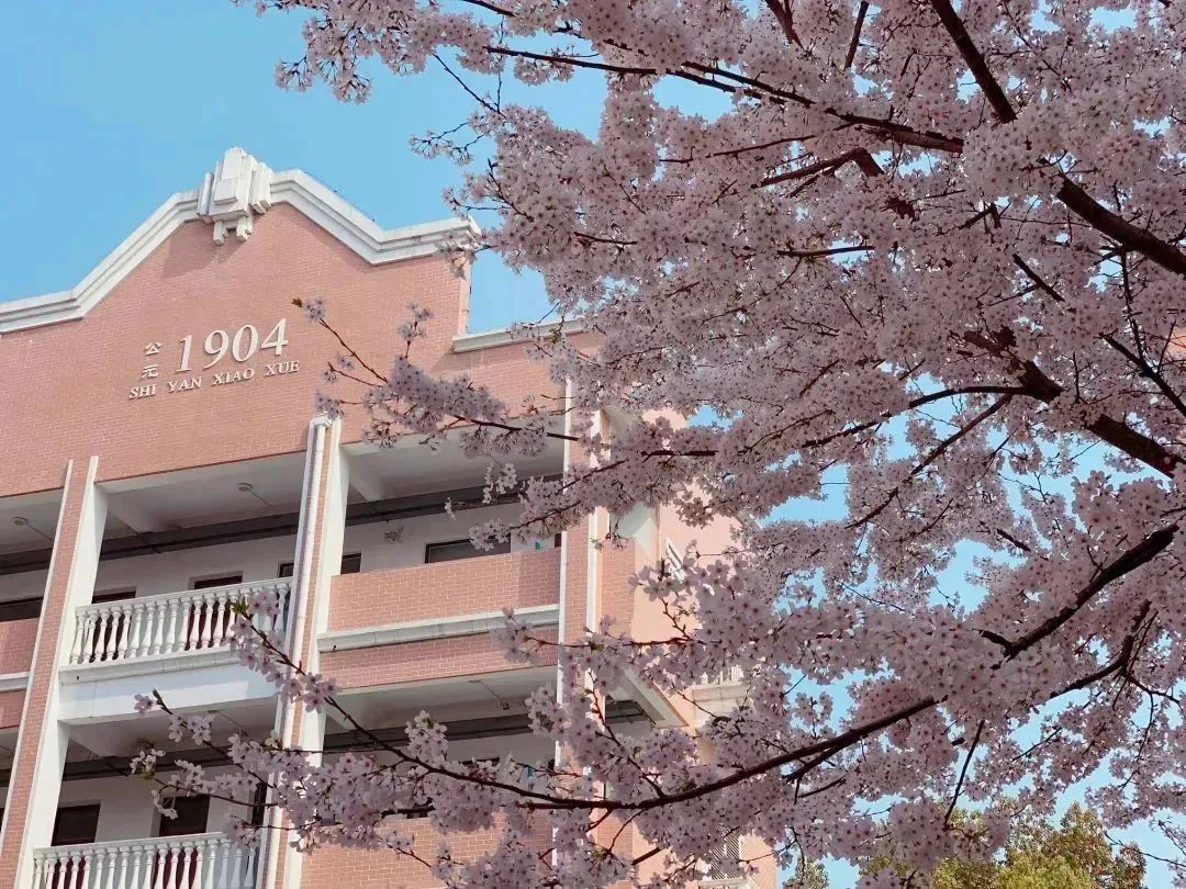 张家港义务教育入学通知书,张家港义务教育招生平台如何操作