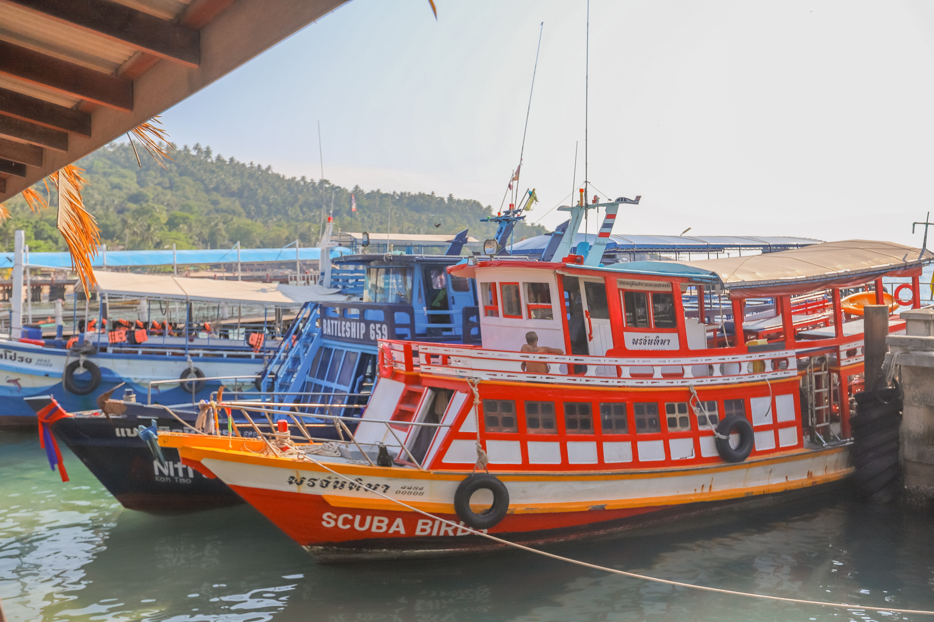 泰国潜水4大海岛攻略,泰国普吉岛潜水旅游攻略