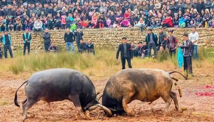 今天的贵州视频,今天的贵州冷不冷
