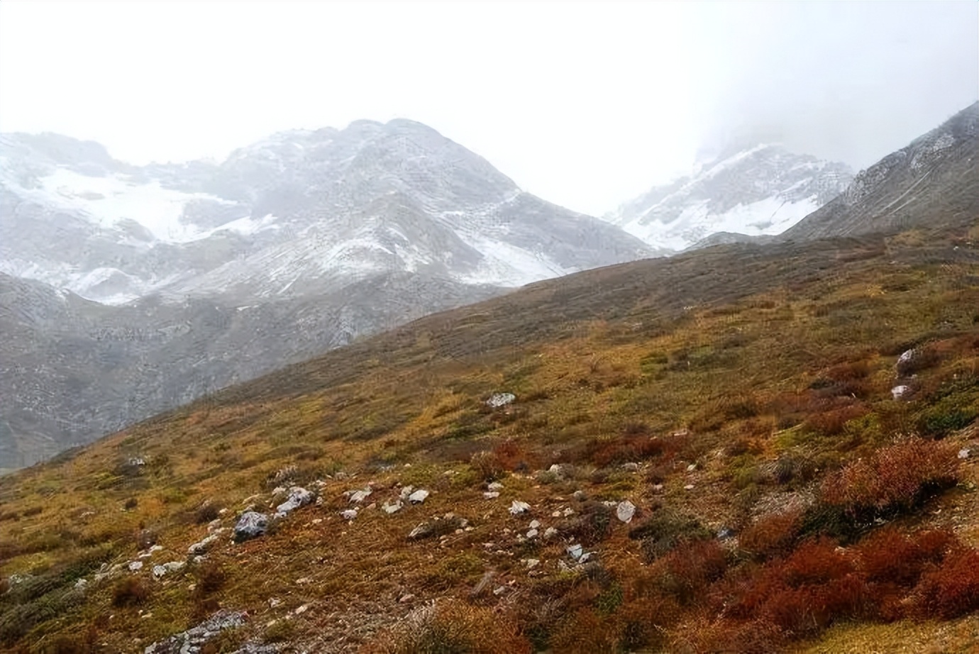 松潘秘境：野性与静谧共存的七藏沟