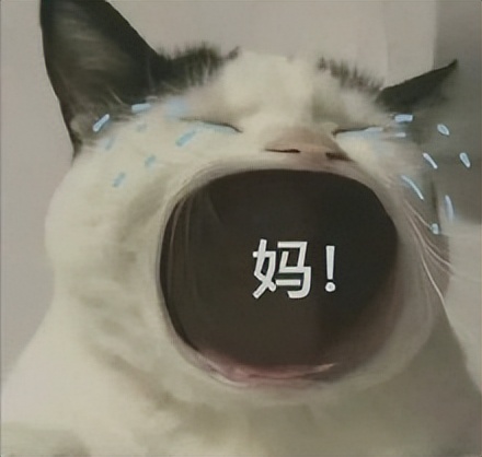 第一次出国的行李箱中，你最后悔从中国带去的东西是？