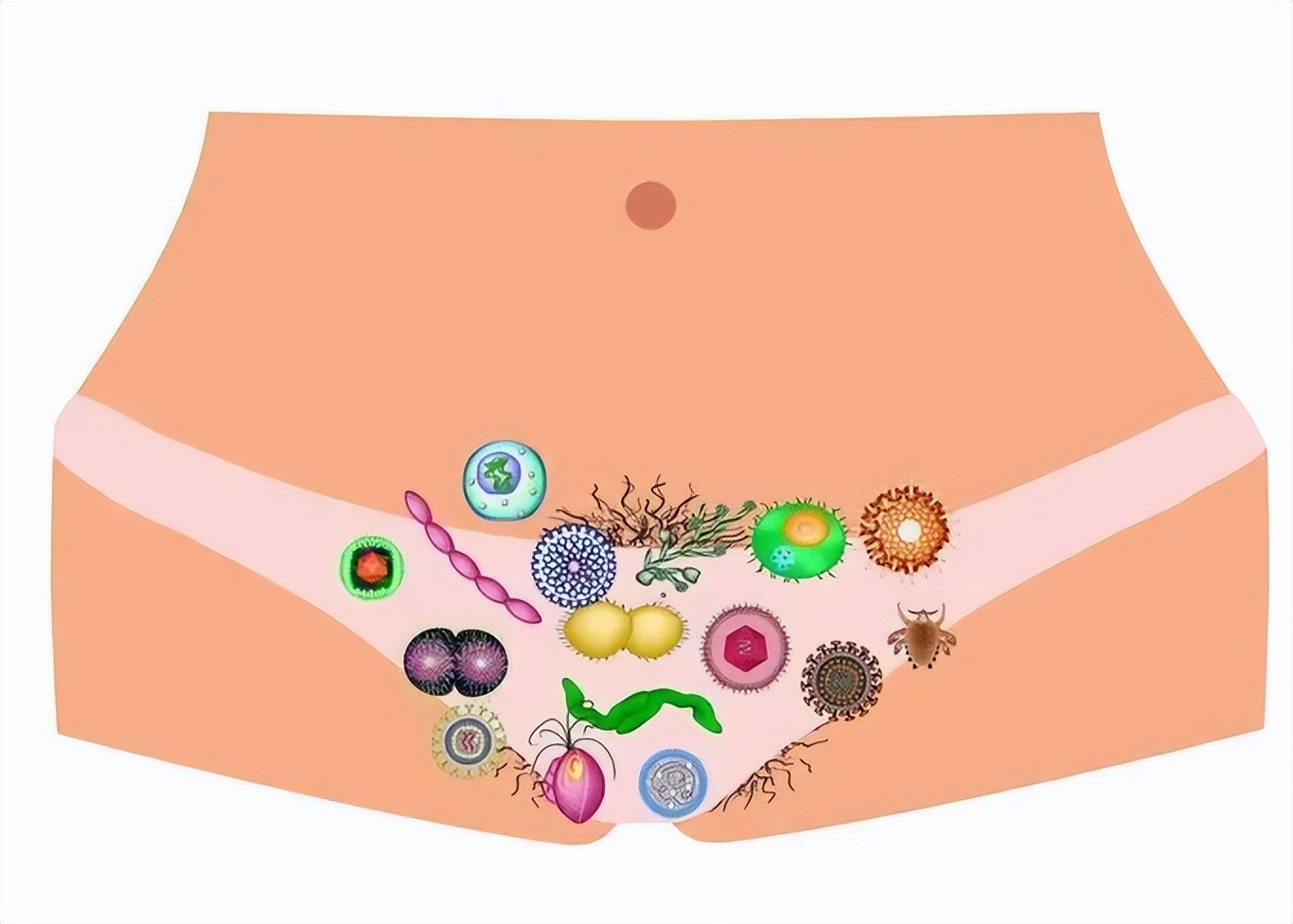 女人喝酸奶有异味,女性有酸奶味