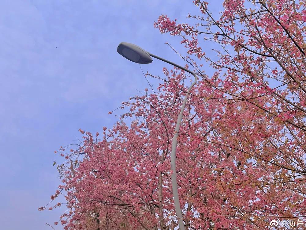 成都地标建筑及网红打卡景观,成都新打卡网红地