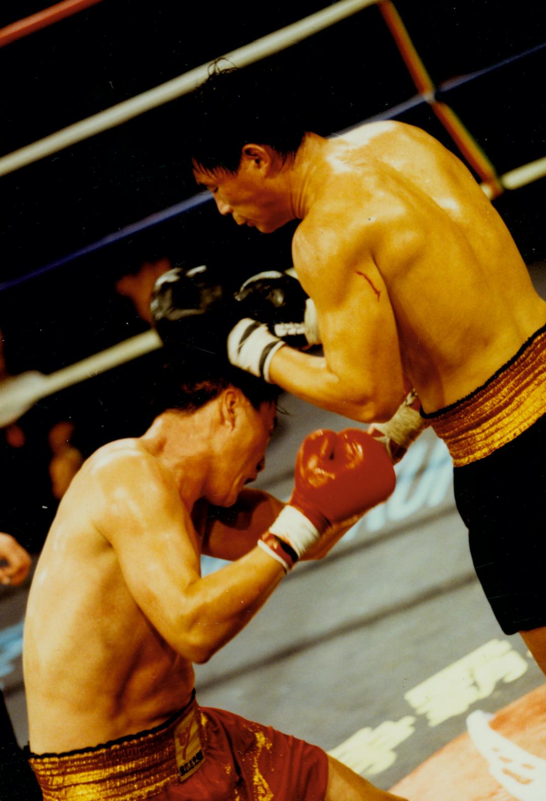 传统武术与搏击术的实战,中国武术搏击所有拳法