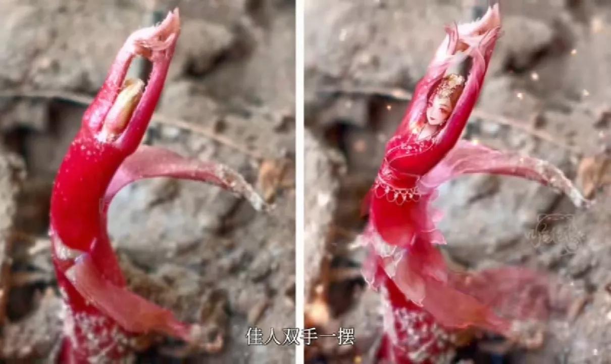 云表情慢慢变粉的表情,云表情包动图