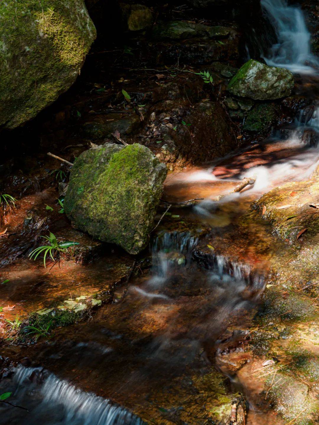 永泰白云姬岩,永泰姬岩云海