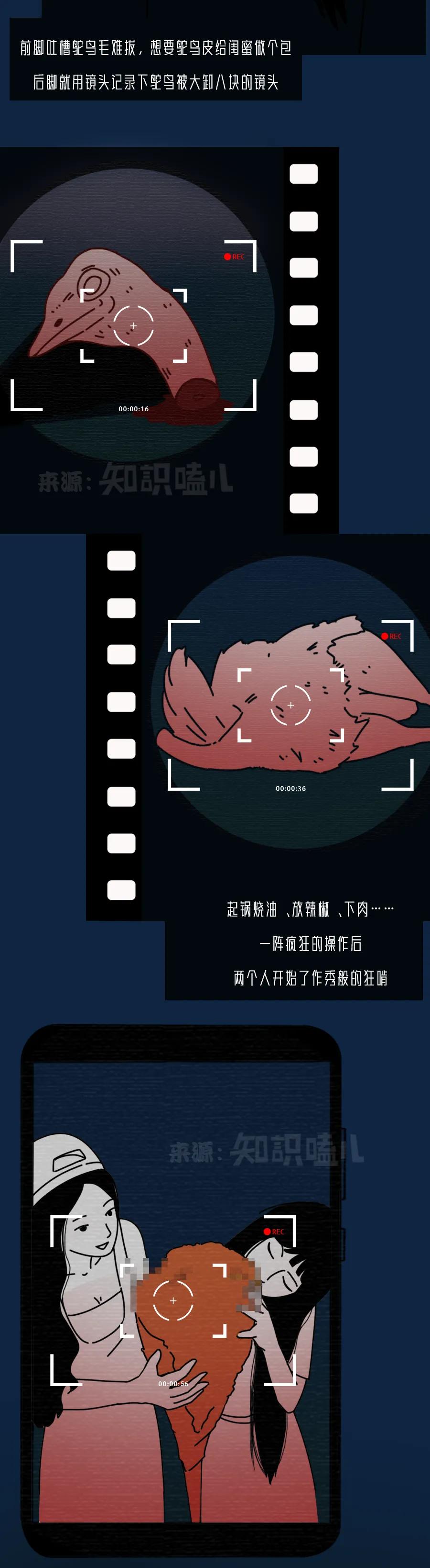 揭秘大网红直播的内幕,网红直播背后的真实面目