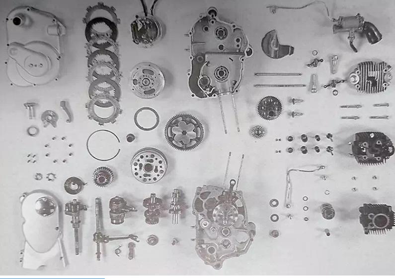 二轮考古学-本田幼兽编年史合集（1952-今）