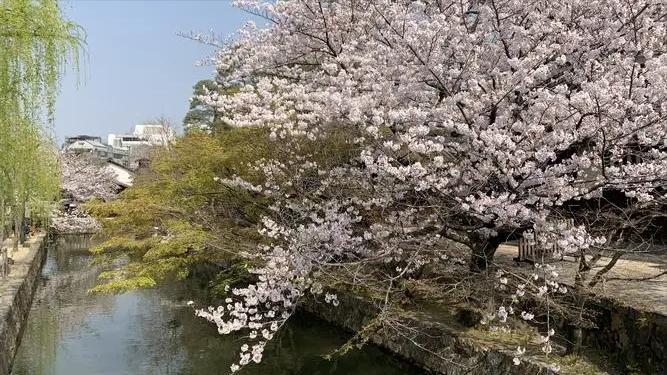 日本的幕府政治制度模式,日本幕府统治危机原因