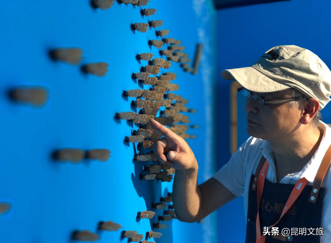 郑和西洋船模型,郑和宝船船模