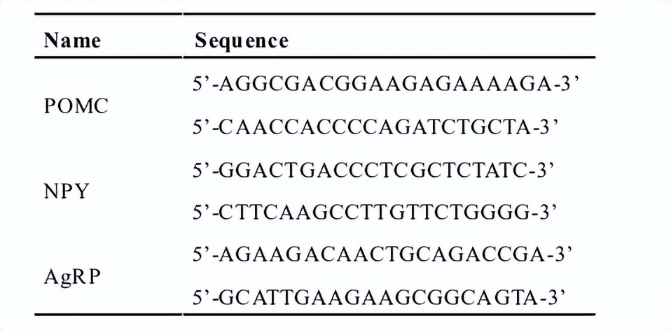 维生素d对神经系统的作用,维生素D在人体内的生理机能