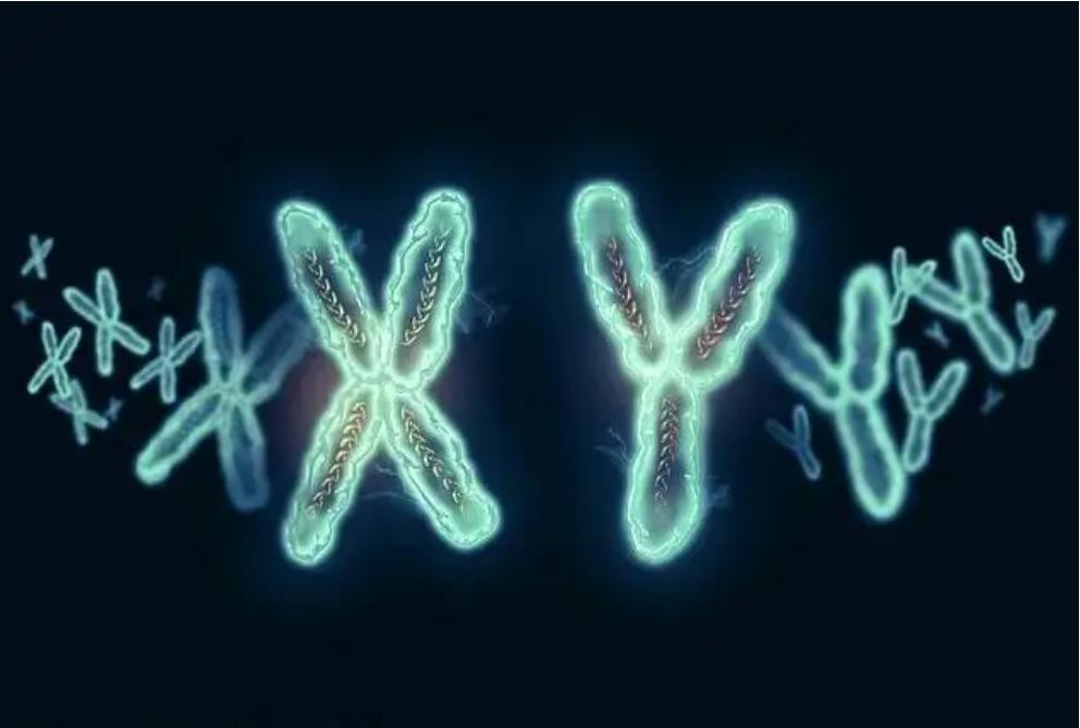 *亲近**繁殖危害很大！这是来自基因的“诅咒”，无法破解