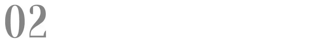 山东路斯宠物食品股份有限公司,北交所食品股