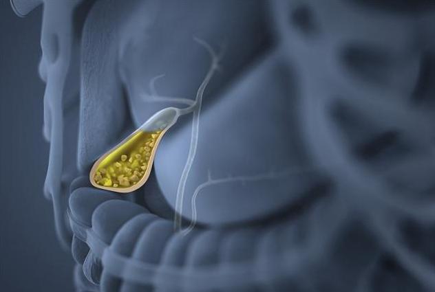 人体的汗液本身是什么味道的,人类身体不同部位液体是什么味道