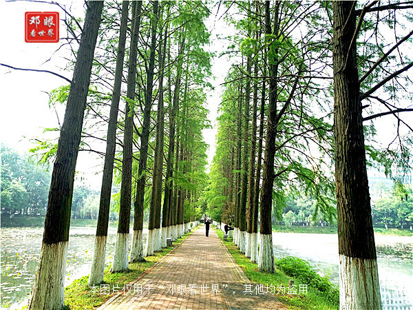 武汉大学跟湖北大学哪个更出名,武汉大学和华中科技大学环境不错