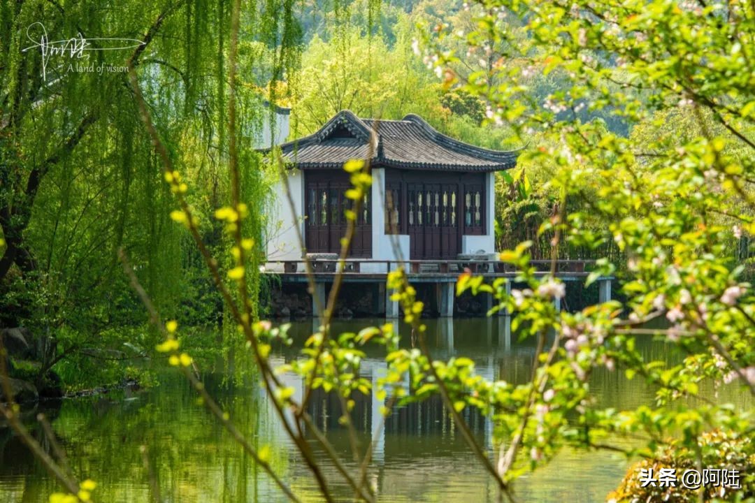 杭州城南有个鲜为人知的水景公园,杭州景点平湖秋月