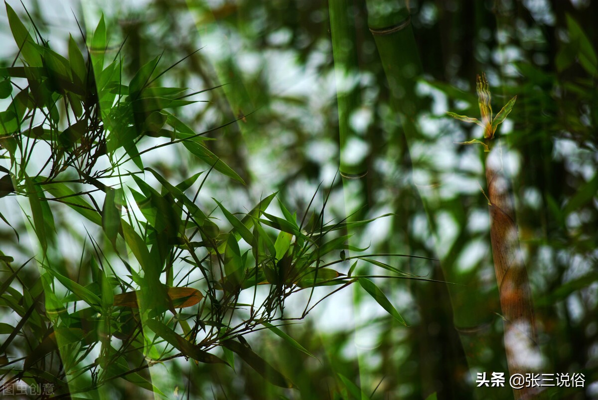 俗语说三更不贪食,俗语三事不做