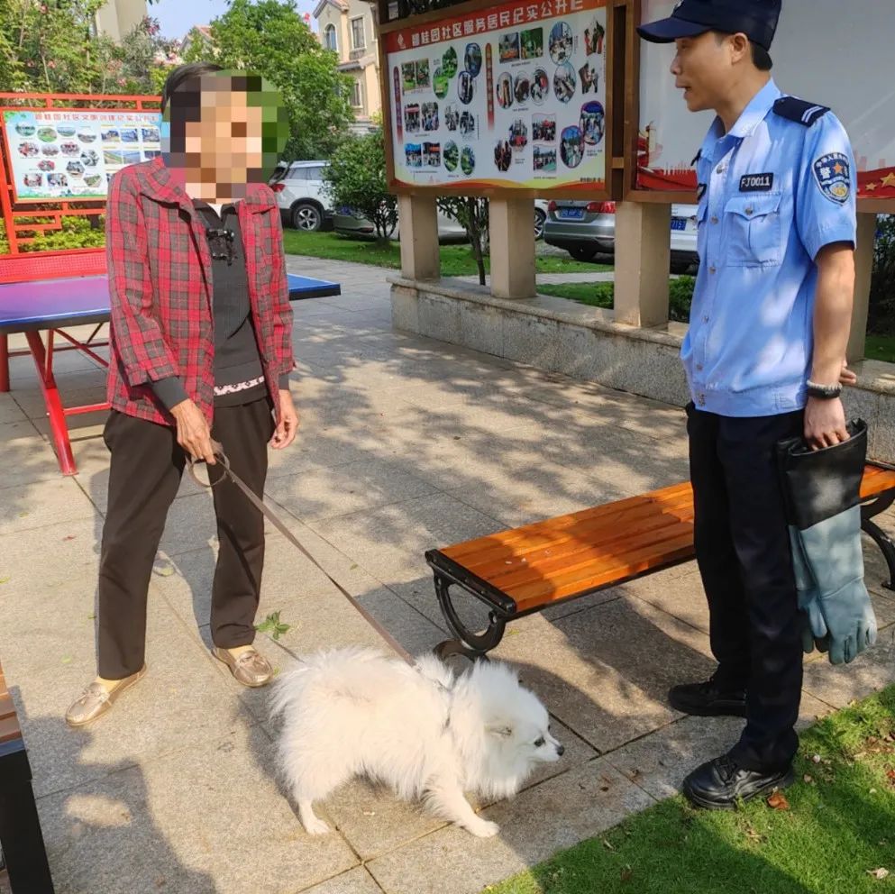 文明城市因不文明养犬被处罚,抚顺整治不文明养犬