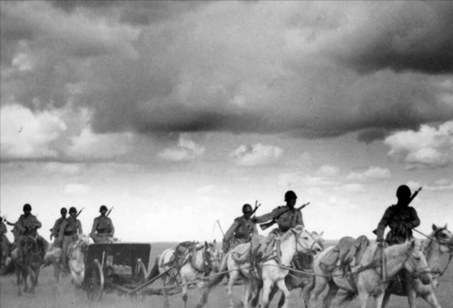 日本近百年战马改良,日本战马改良史