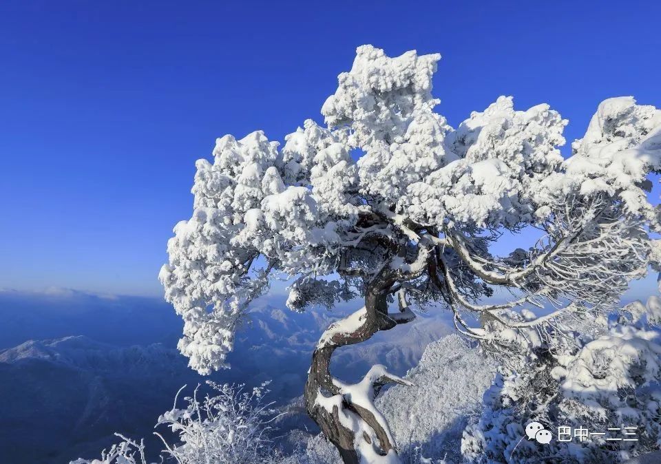霜情雪意冰为天：四川光雾山记！