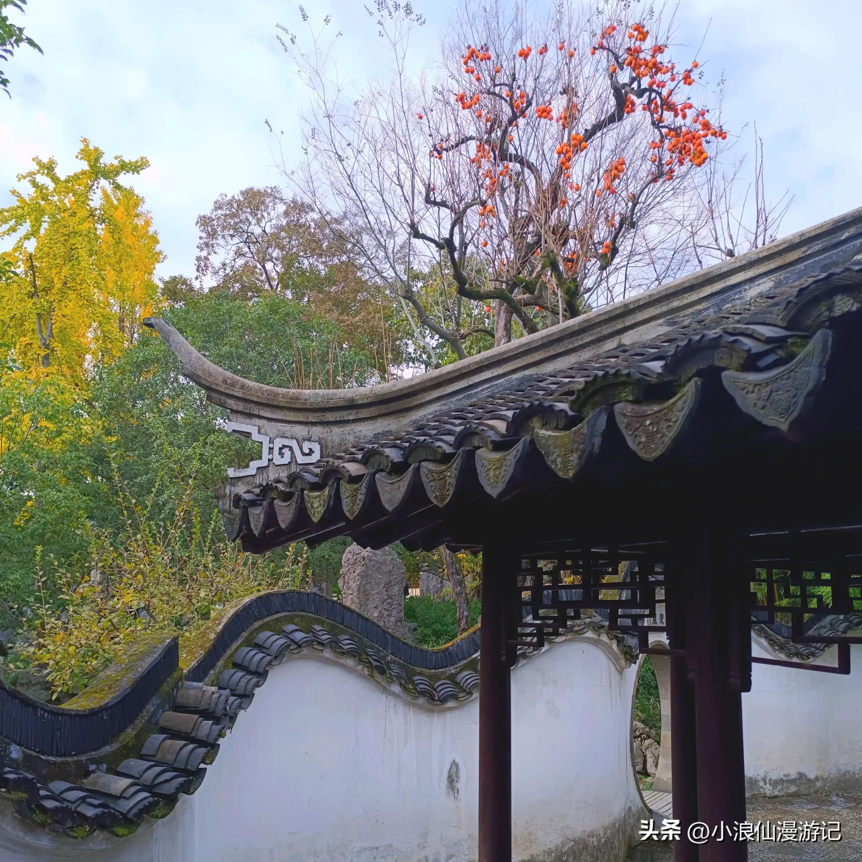 苏州园林怡园拍摄地点,苏州园林里的怡园是什么