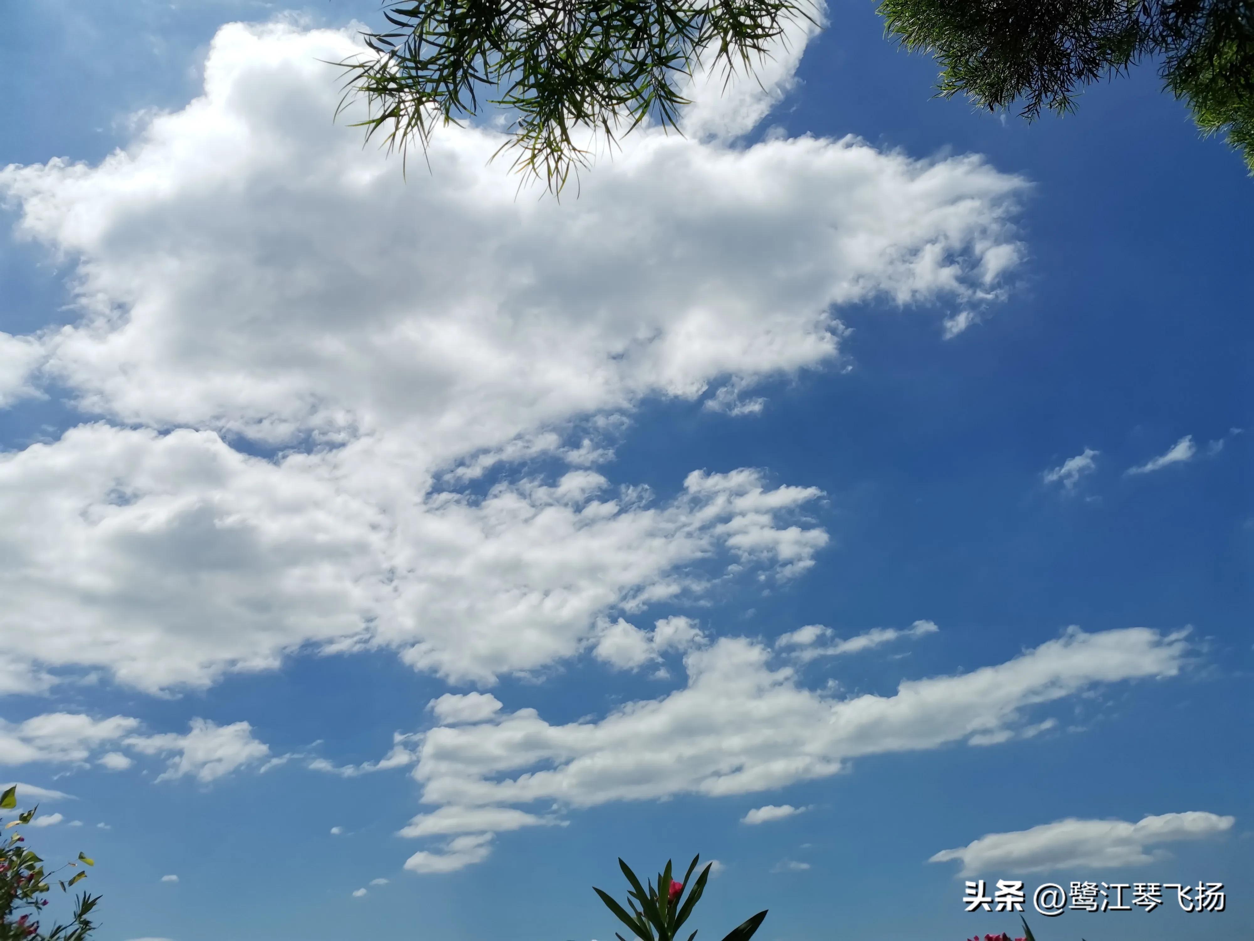 厦门最近桑拿天气,阴雨天厦门好去处