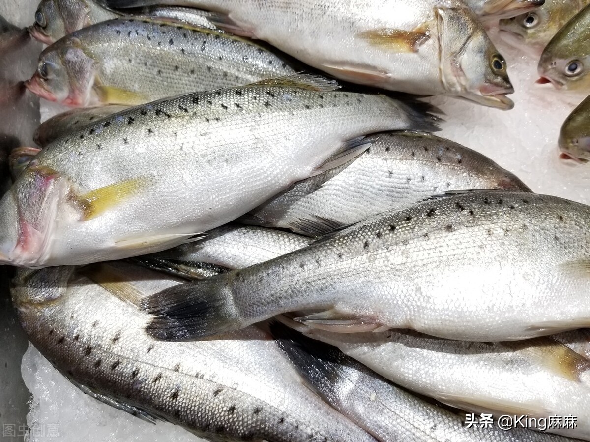 买鲈鱼买开背还是整条好,怎么挑选鲈鱼最好