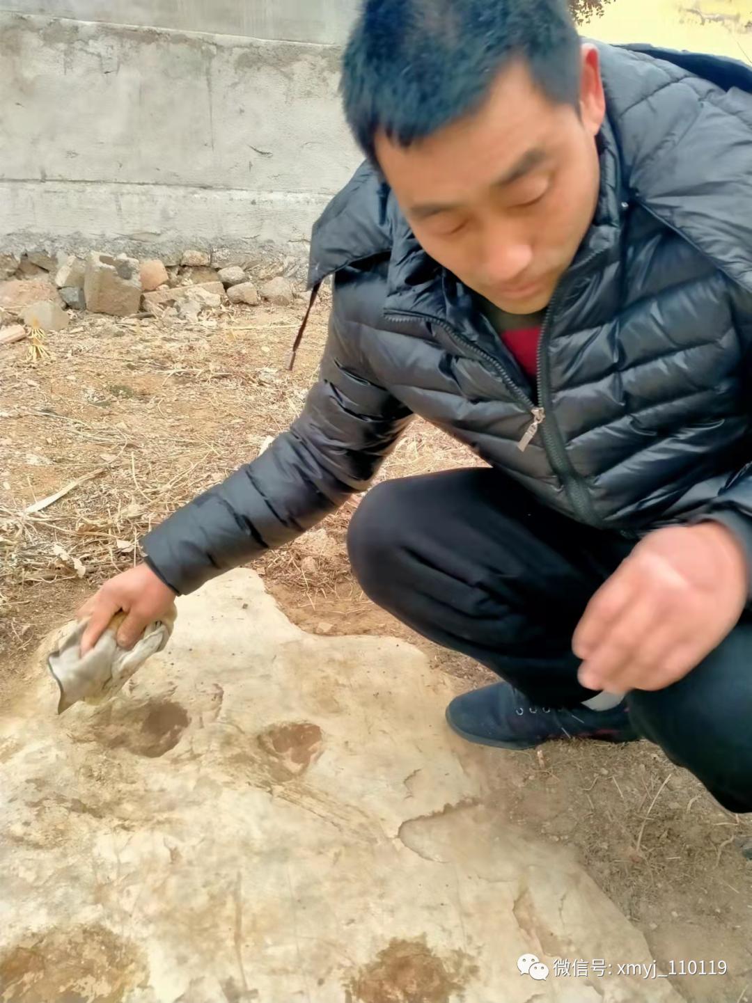 春天的脚步的唯美句子,春天的脚步原唱完整版