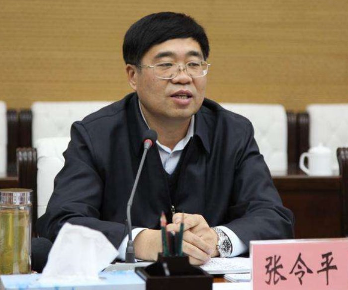 辱骂国土局局长“滚出去”，全家敛财超2000万，张令平的贪超想象