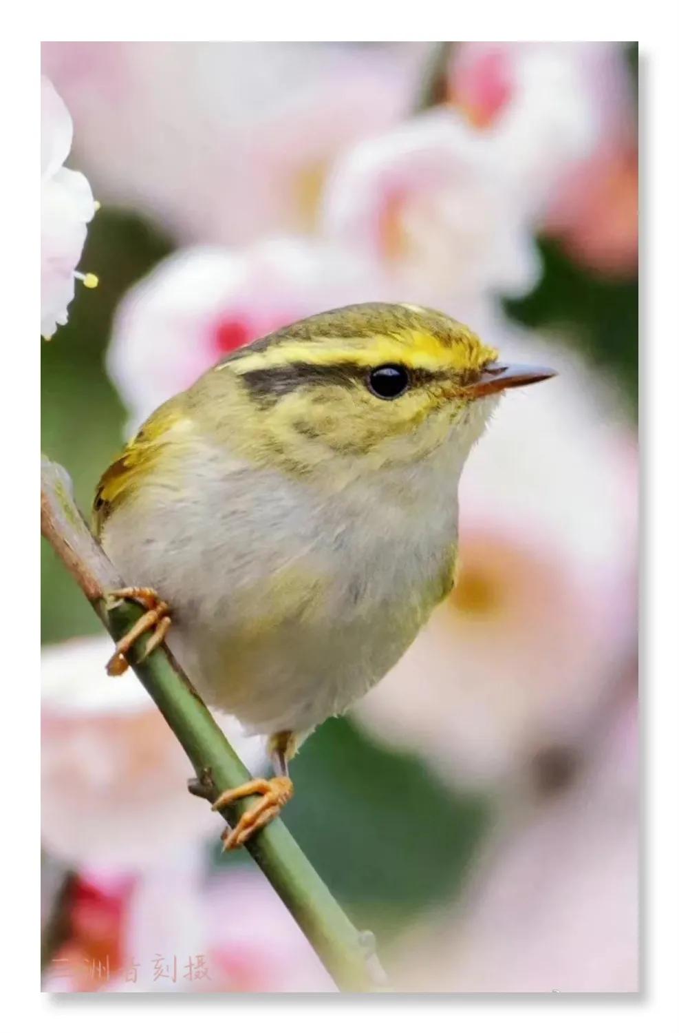 上海市嘉定区安亭国际汽车城,上海嘉定安亭国际汽车城